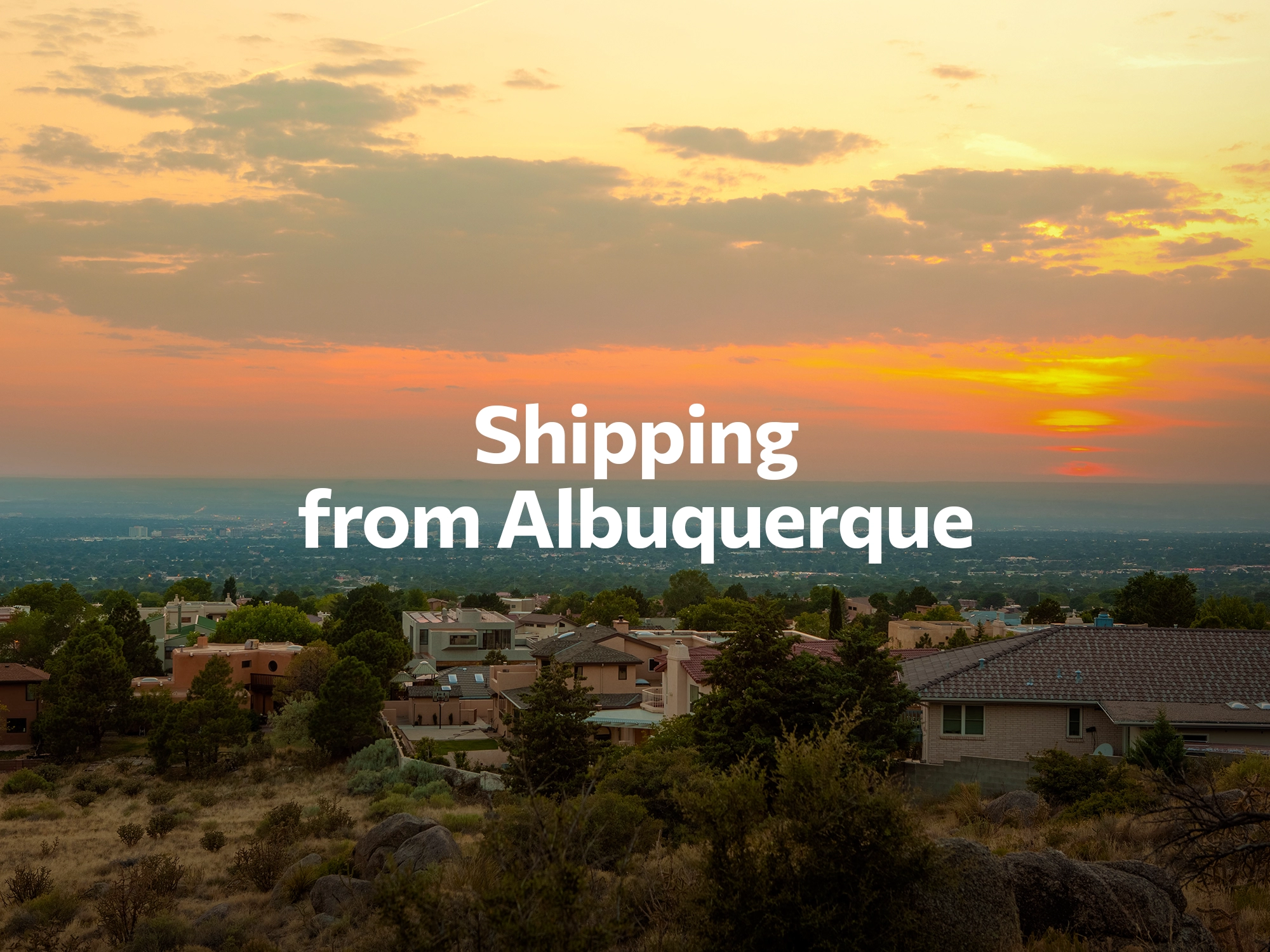 Shipping company from Albuquerque