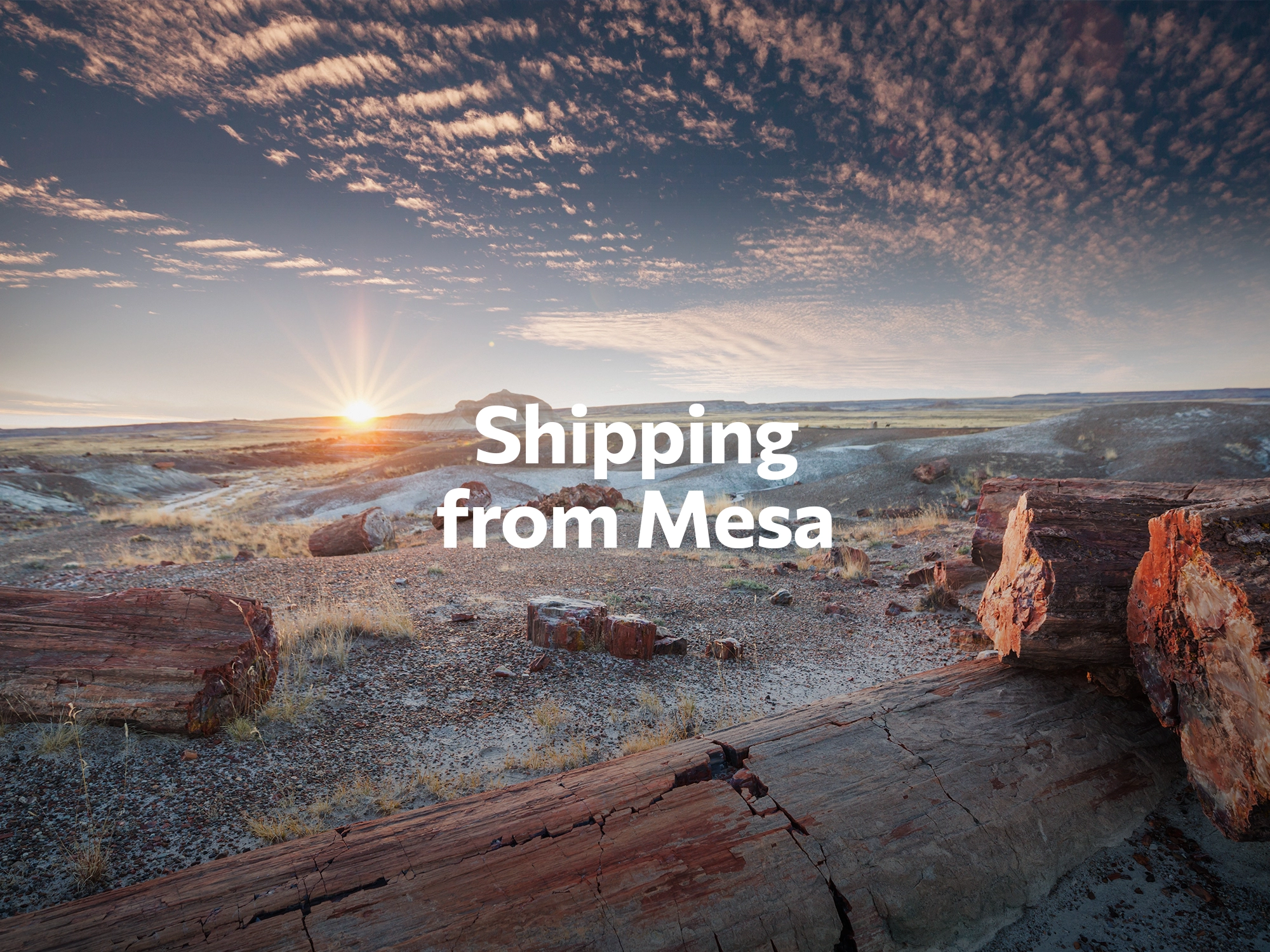 Shipping company from Mesa