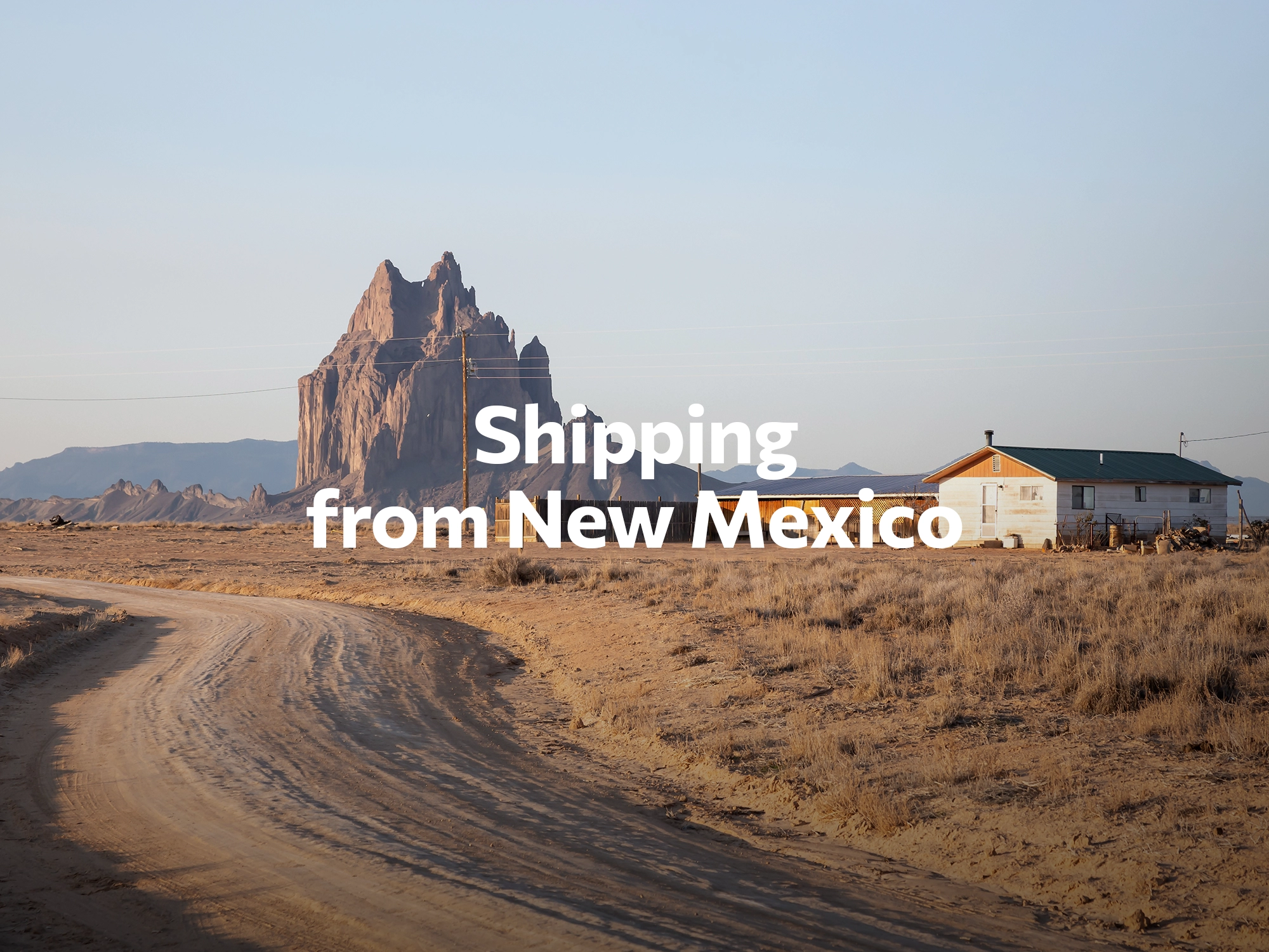Shipping company from New Mexico