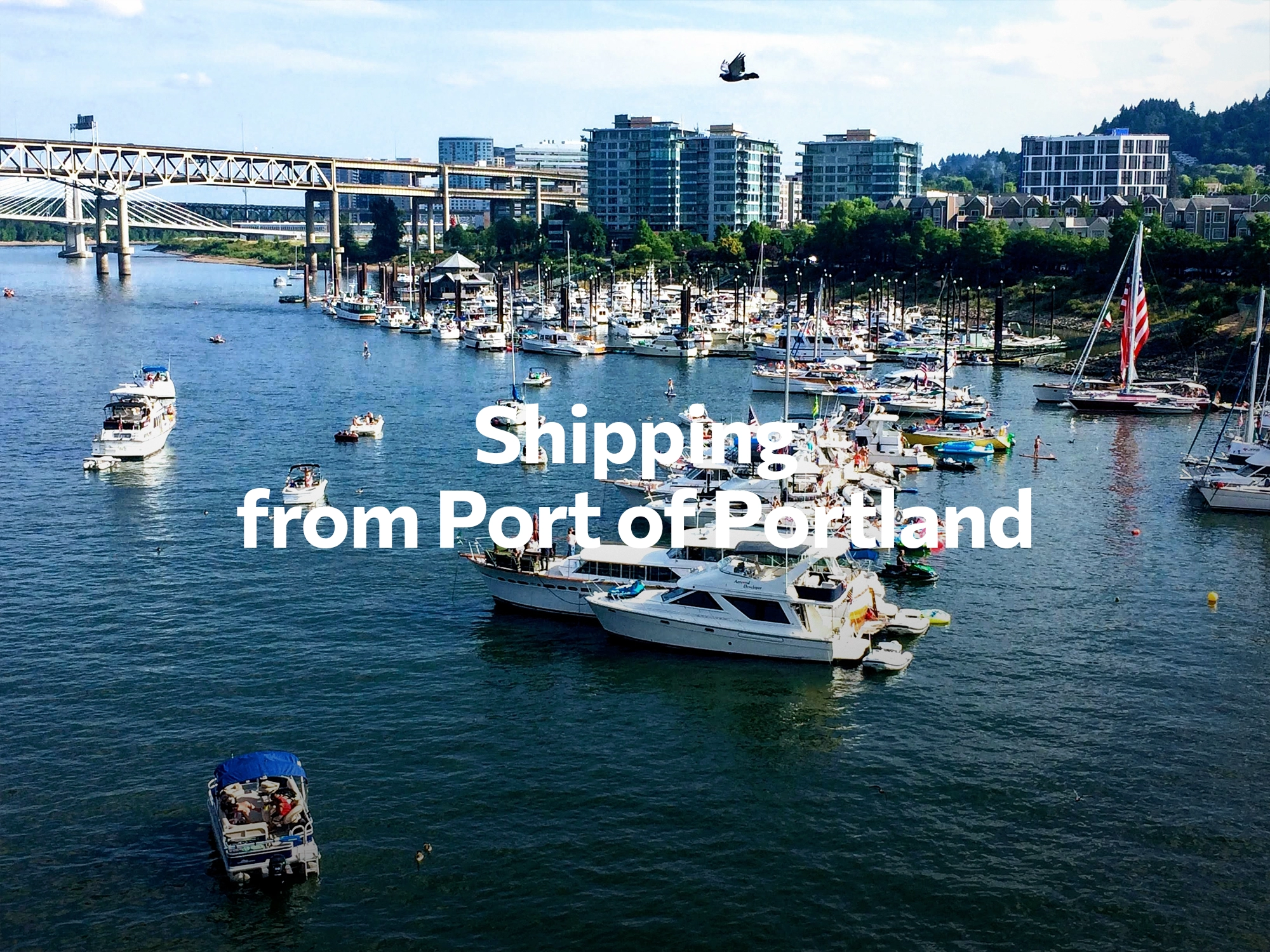 Shipping company from Port of Portland