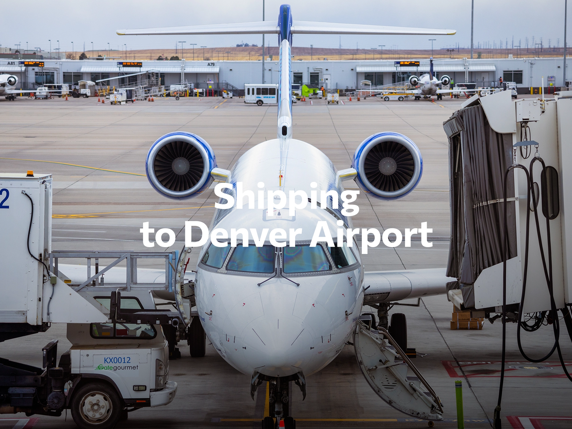 Shipping company to Seattle, freight rates for FTL and LTL shipping in Seattle