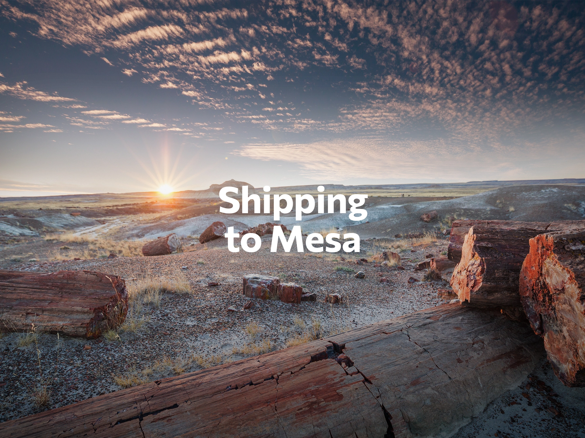Shipping company to Austin, freight rates for FTL and LTL shipping in Austin