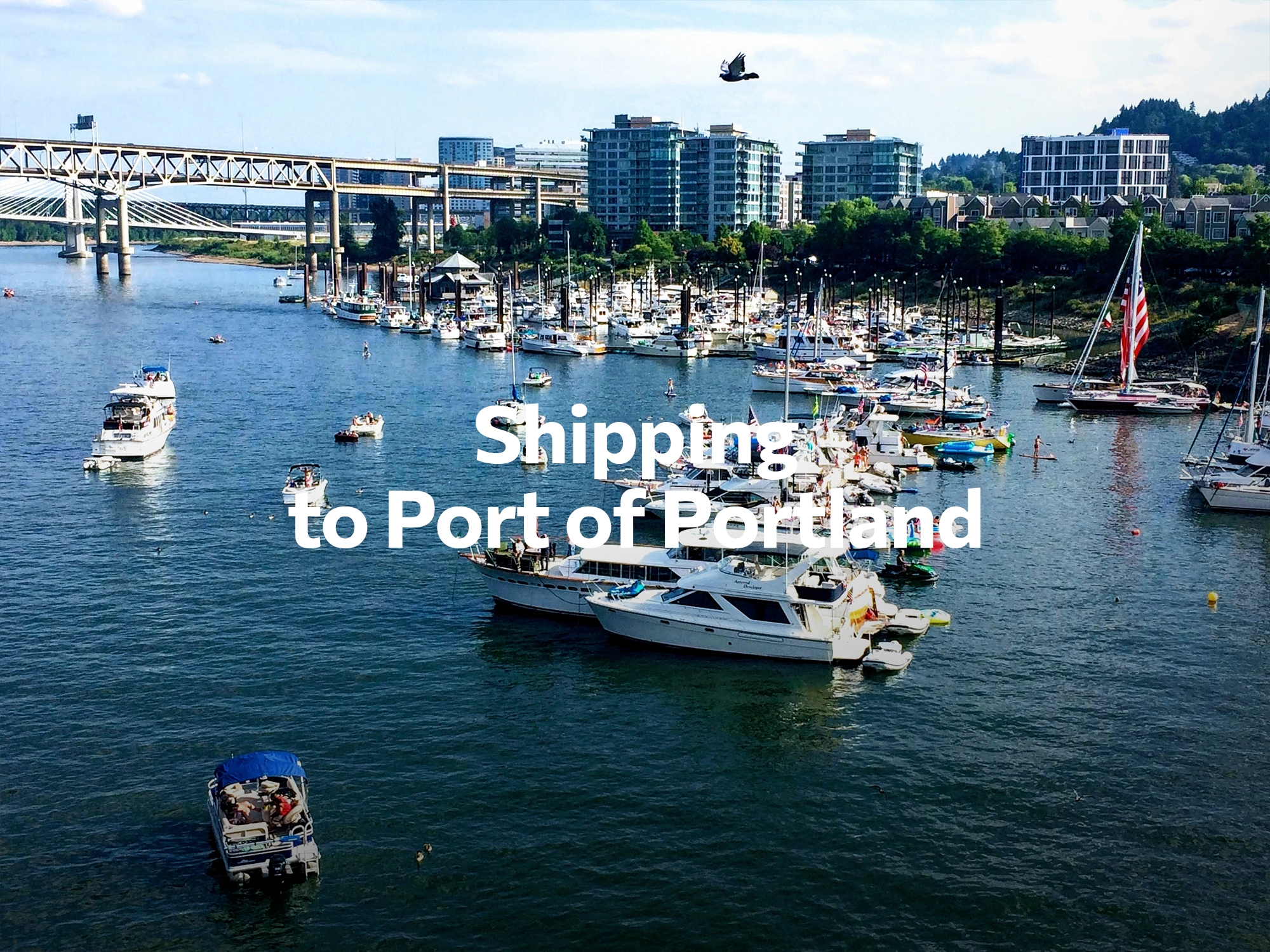 Shipping company to Seattle, freight rates for FTL and LTL shipping in Seattle