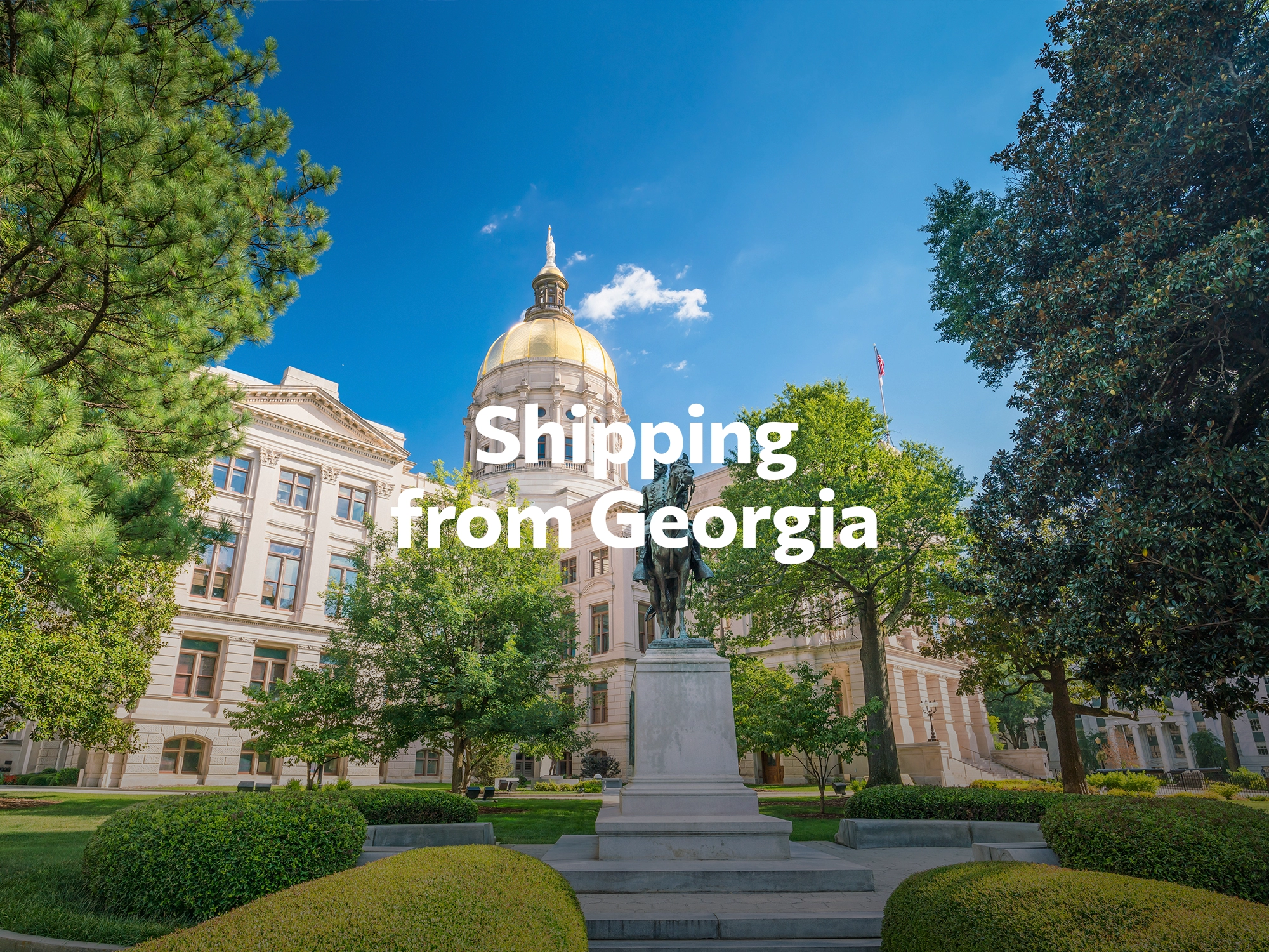 Shipping company from Georgia, freight rates for FTL and LTL shipping in Georgia