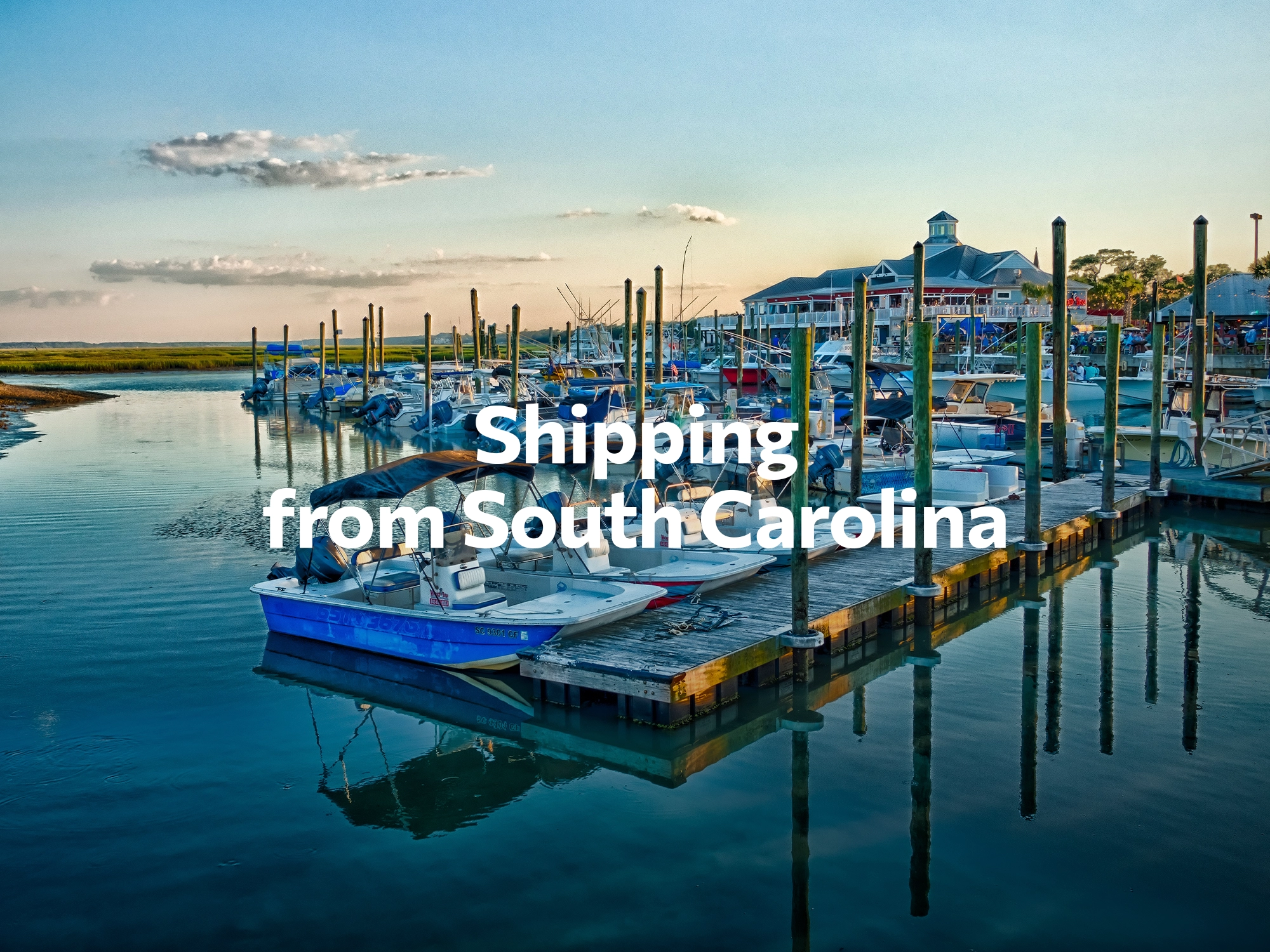 Shipping company from South Carolina, freight rates for FTL and LTL shipping in South Carolina