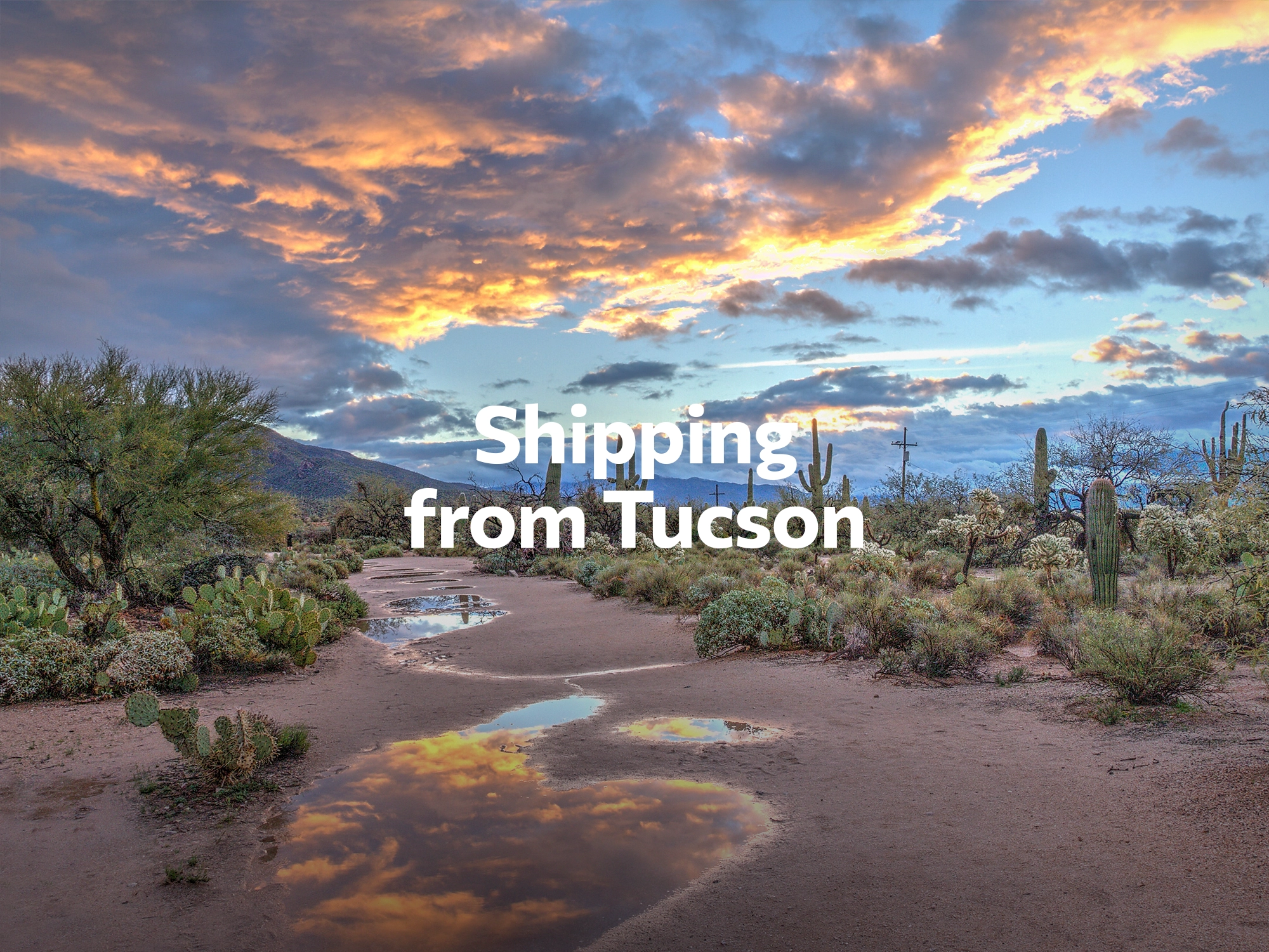Shipping company from Tucson, freight rates for FTL and LTL shipping in Tucson