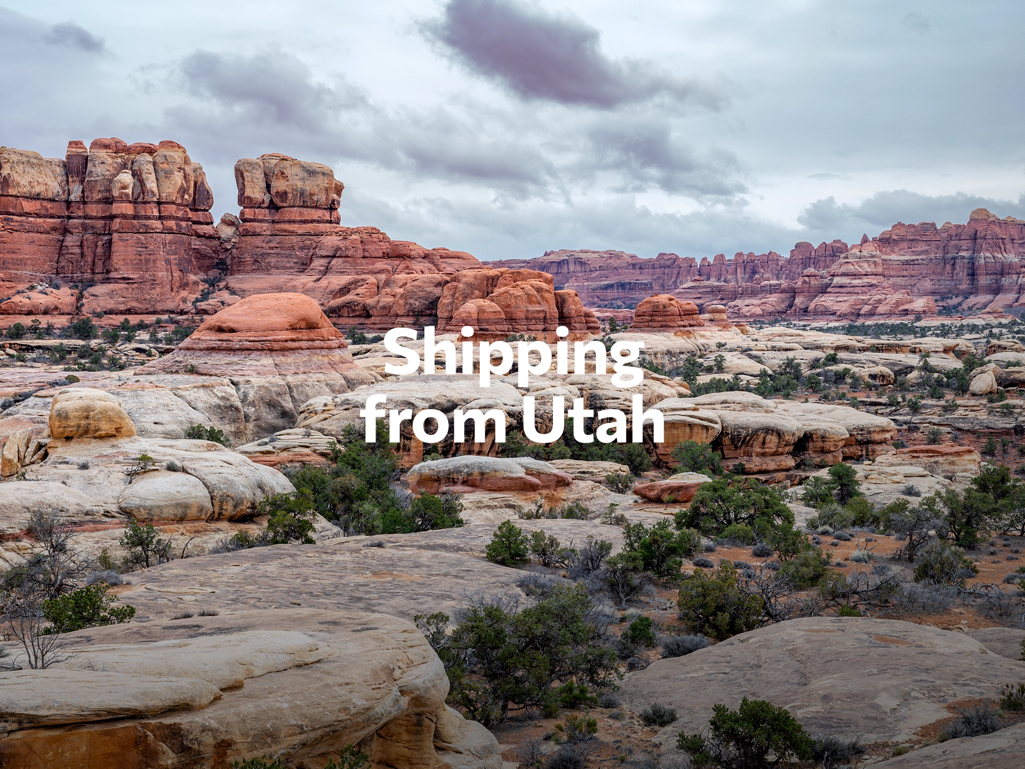 Shipping company from Utah, freight rates for FTL and LTL shipping in Utah