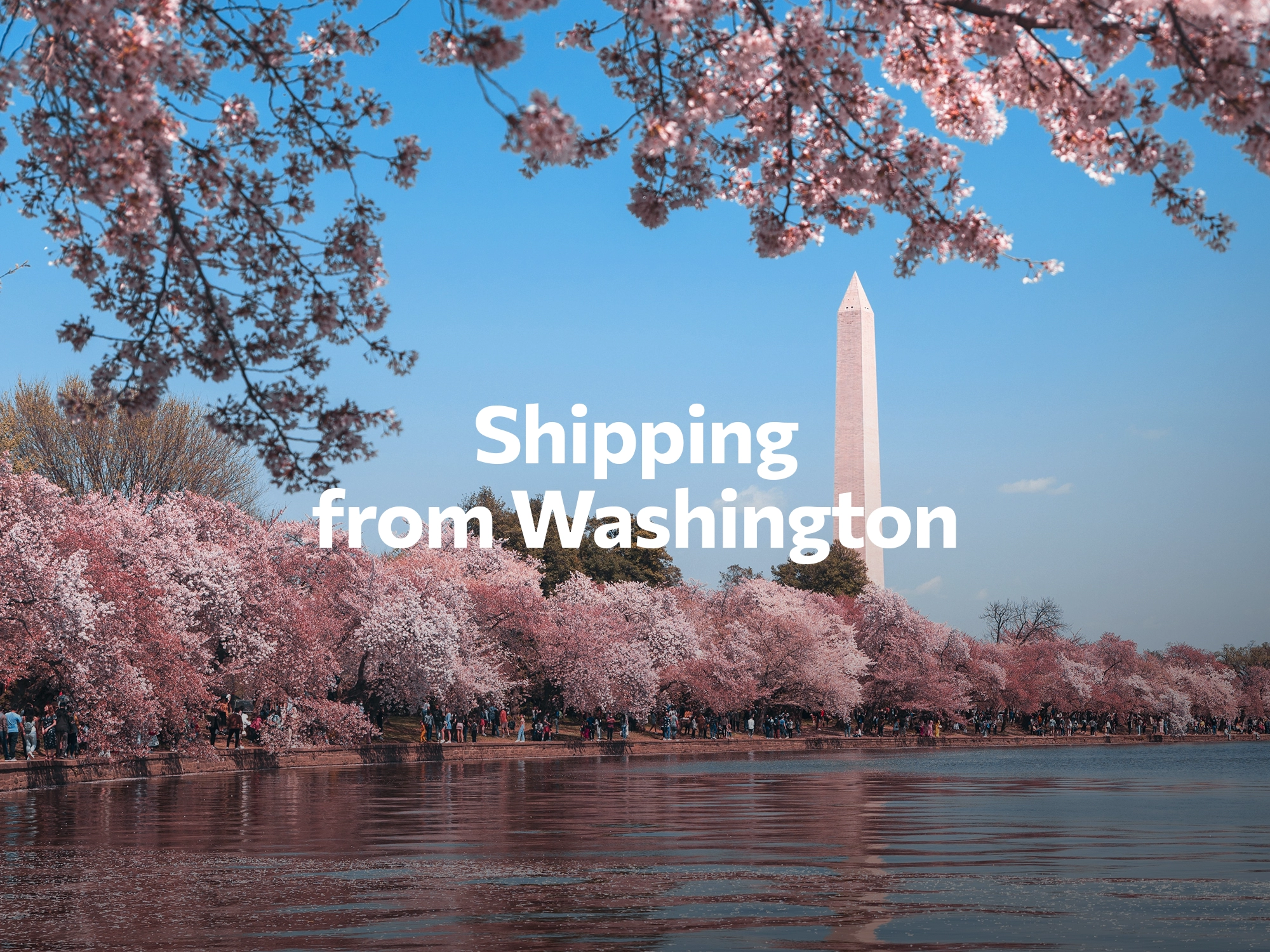 Shipping company from Washington D.C., freight rates for FTL and LTL shipping in Washington D.C.
