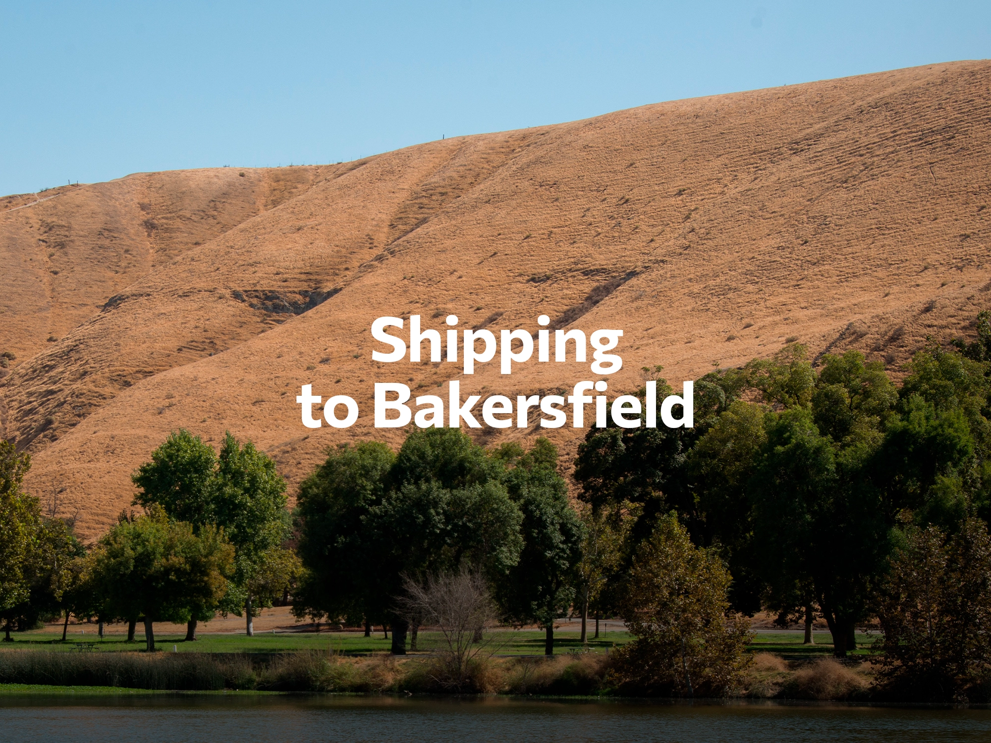 Shipping company to New York City, freight rates for FTL and LTL shipping in New York City