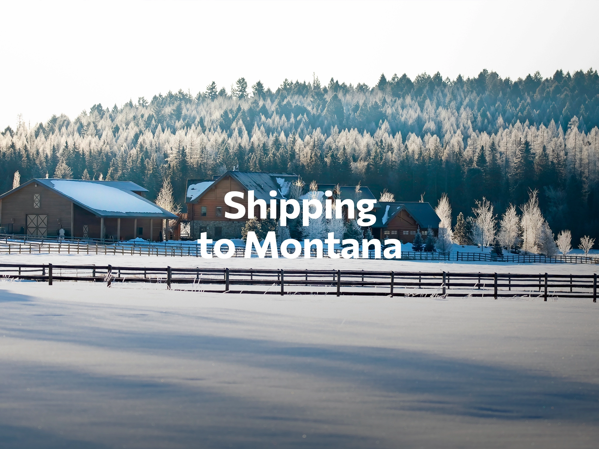 Shipping company to Michigan, freight rates for FTL and LTL shipping in Michigan