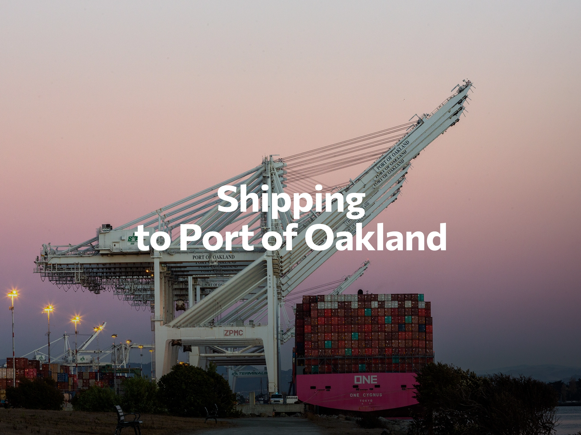 Shipping company to Texas, freight rates for FTL and LTL shipping in Texas