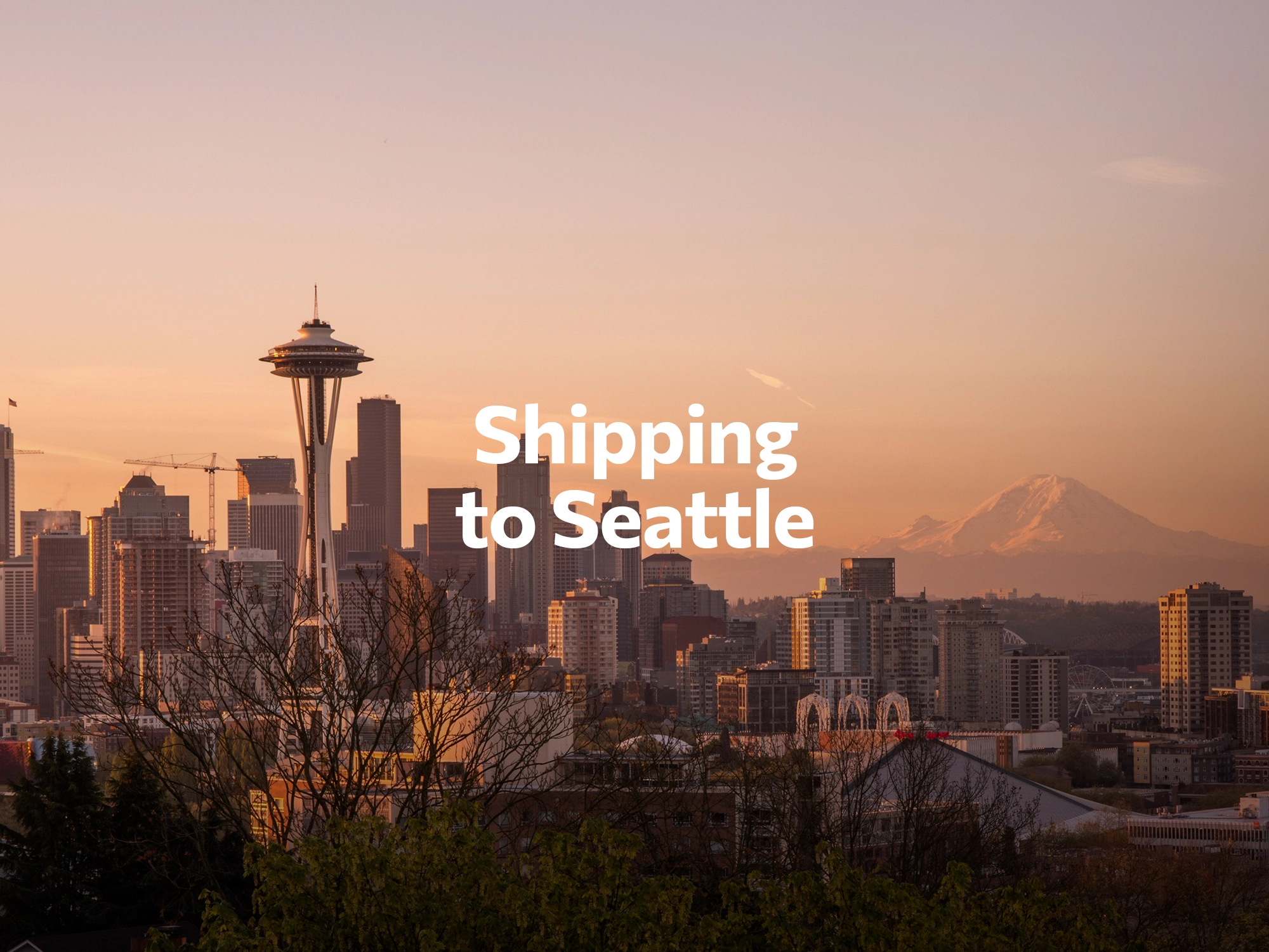 Shipping company to New York City, freight rates for FTL and LTL shipping in New York City