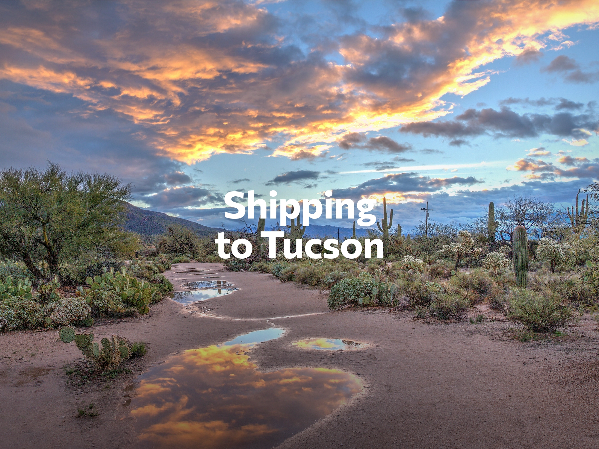 Shipping company to Raleigh, freight rates for FTL and LTL shipping in Raleigh