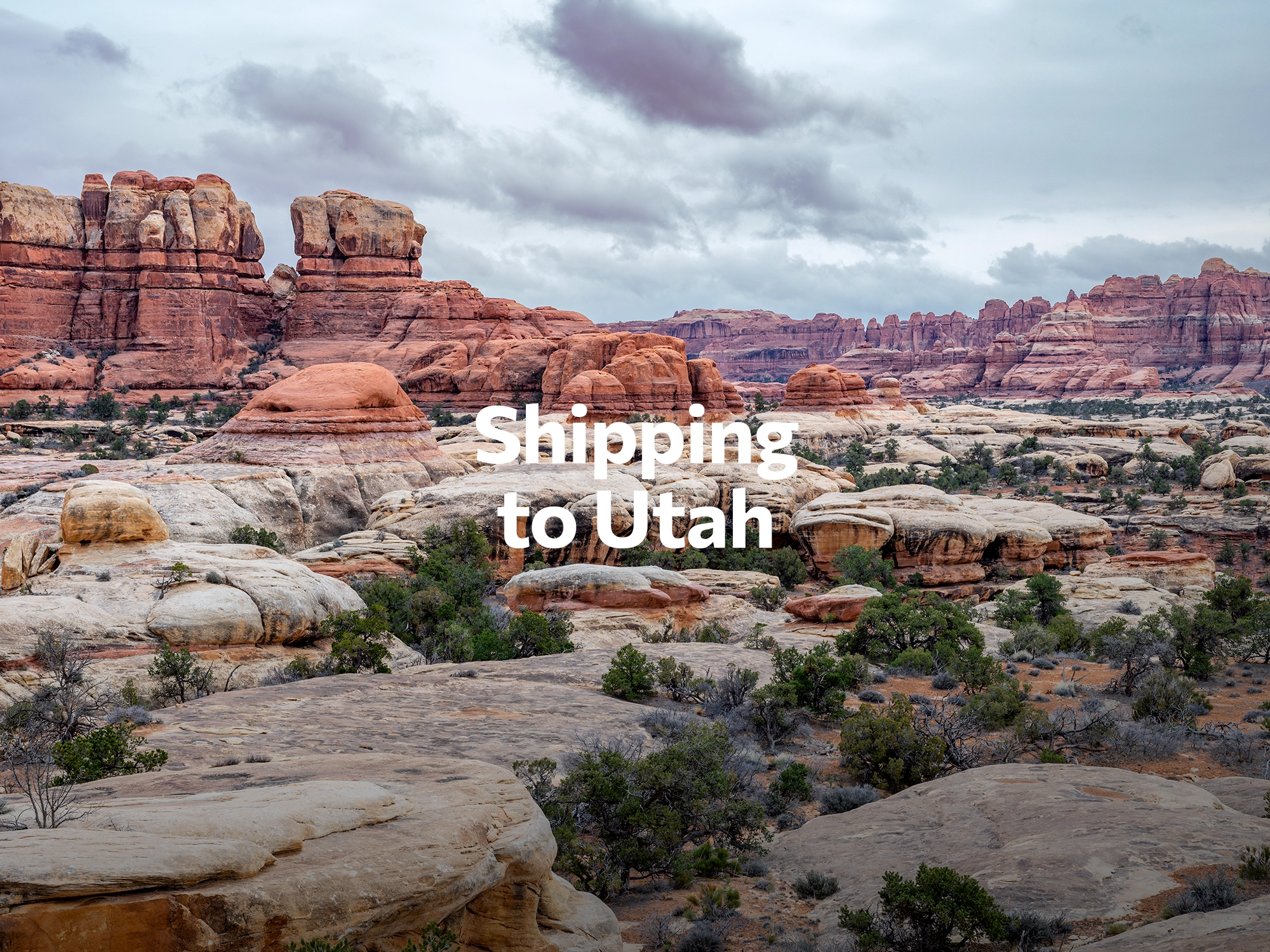 Shipping company to Arkansas, freight rates for FTL and LTL shipping in Arkansas