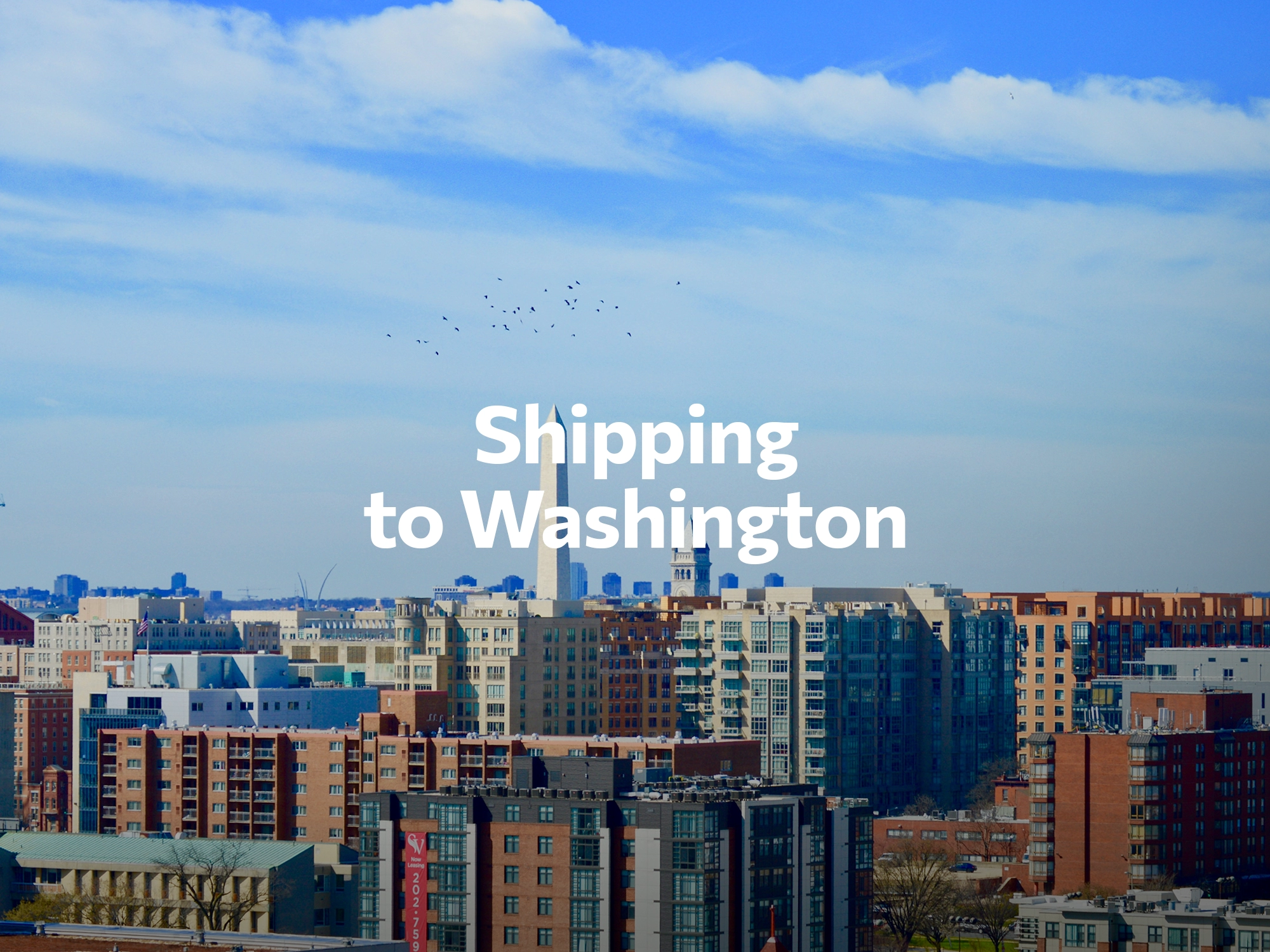 Shipping company to Houston, freight rates for FTL and LTL shipping in Houston